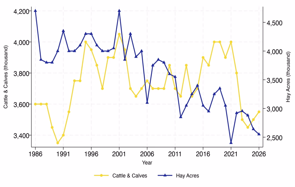 Figure 7. South Dakota total cattle and calves and hay harvested acres, 1986-2026.