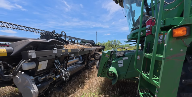 Hayden On Harvest Connecting