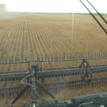 Hayden On Harvest Nebraska Moisture Concerns