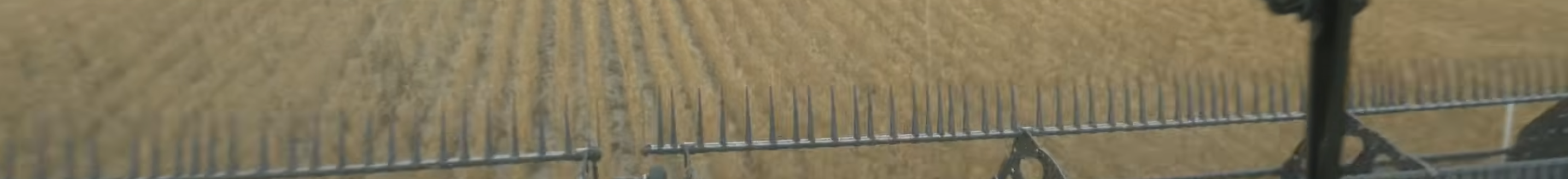 Hayden On Harvest Nebraska Moisture Concerns