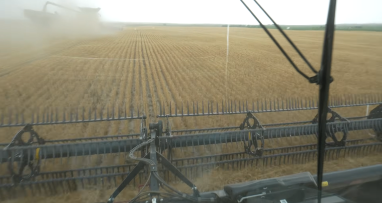 Hayden On Harvest Nebraska Moisture Concerns