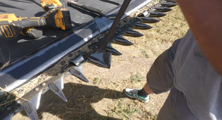 Hayden on Harvest Hail Damaged Nebraskan Wheat