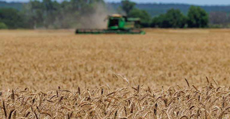 Oklahoma State University and the Noble Research Institute are partnering this fall to bring practical farm-and-ranch transition guidance to Oklahoma producers. (Photo by Mitchell Alcala, OSU Agriculture)