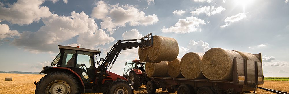 Bale in field. (Adobe Stock-#213993339 │ Dusan Kostic)