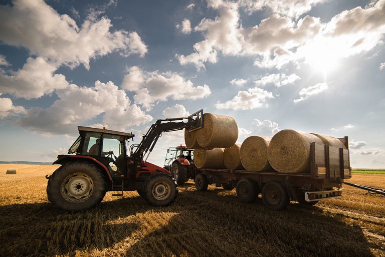 Bale in field. (Adobe Stock-#213993339 │ Dusan Kostic)