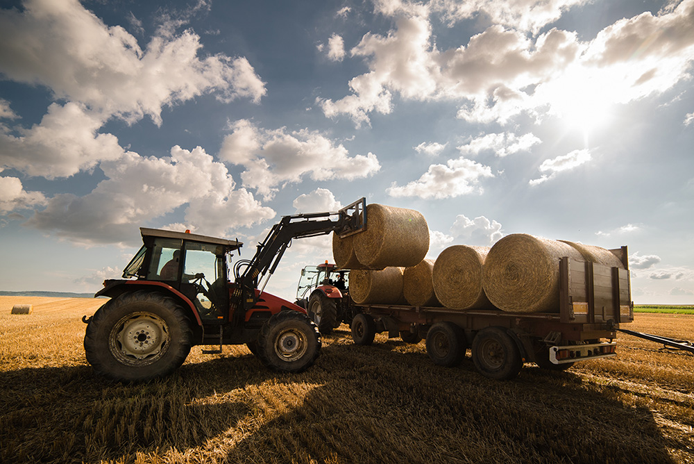 Bale in field. (Adobe Stock-#213993339 │ Dusan Kostic)