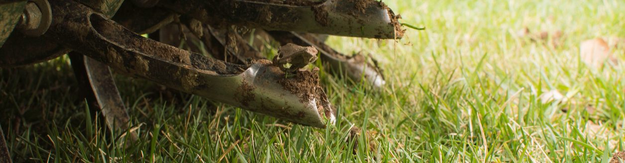 Tines from Ride On Aerator that Aerate the Grass for Lawn Care Services. (iStock-#1293930244 │ Sherry Barr Photography)