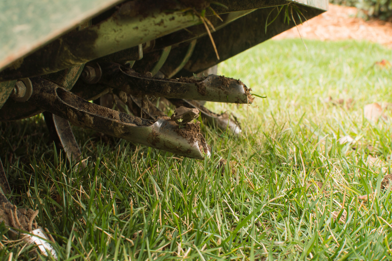 Tines from Ride On Aerator that Aerate the Grass for Lawn Care Services. (iStock-#1293930244 │ Sherry Barr Photography)