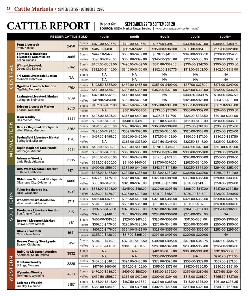 High Plains cattle prices for feeder steers and heifers by weight
