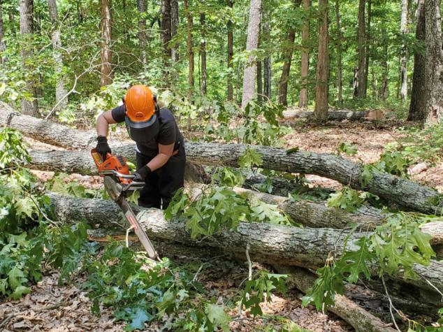 Chain saw accidents are painful, expensive and preventable. (MU Extension file photo)
