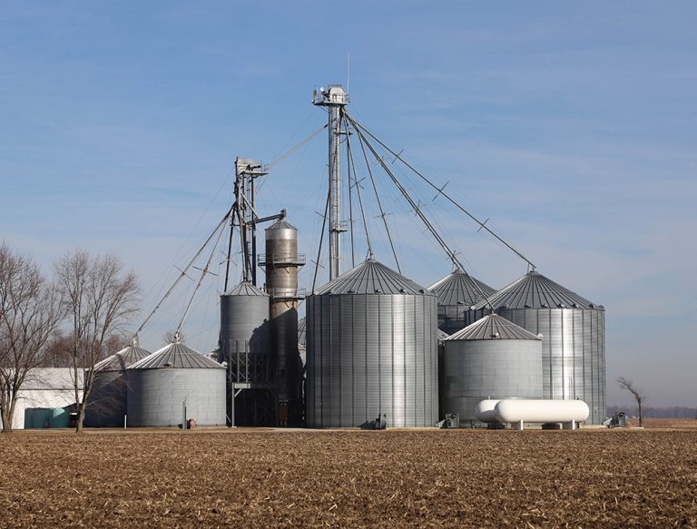 Grain silos in the field with a blue sky background along with a grain drier. (Adobe Stock-#311625476 │ Lost Shoe Studios)