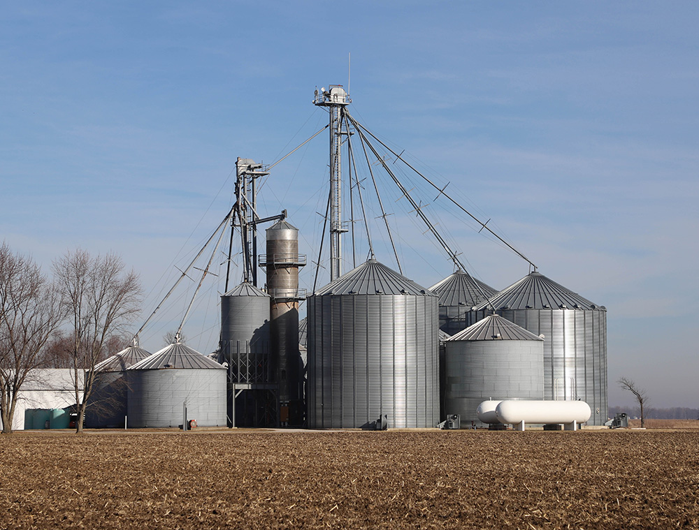 Grain silos in the field with a blue sky background along with a grain drier. (Adobe Stock-#311625476 │ Lost Shoe Studios)