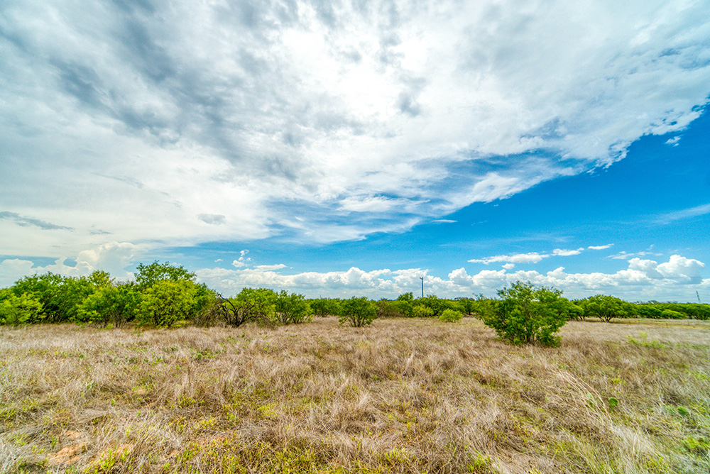 Rural texas land. (Adobe Stock-#517436948 │ Allison)