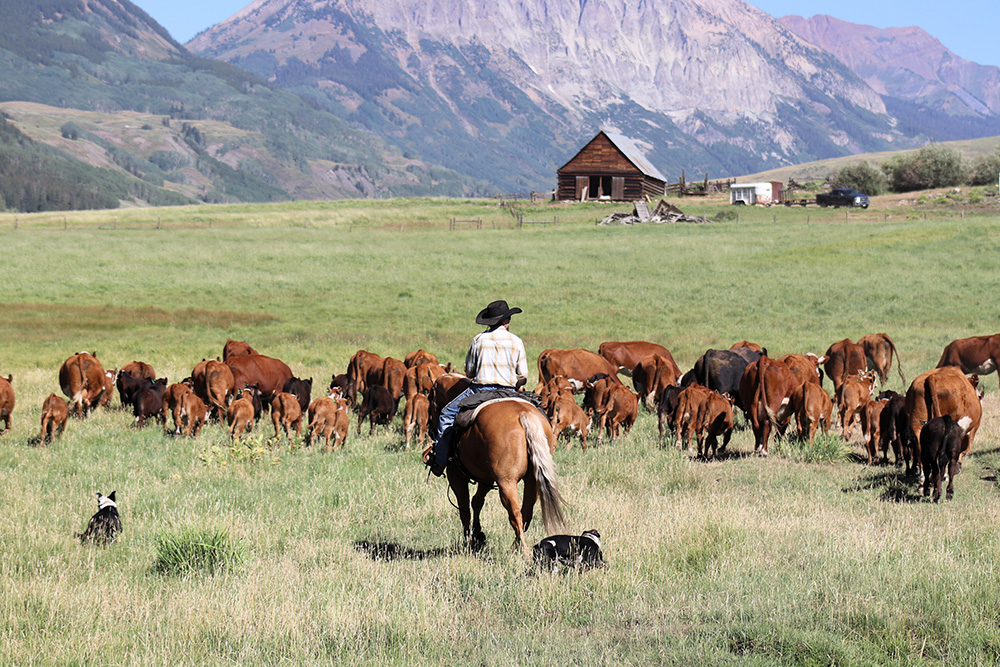 Spann Ranches in Colorado is one of the inaugural Ranches of the West honorees. (﻿Photo by Jan Washburn, courtesy of Spann Ranches.)
