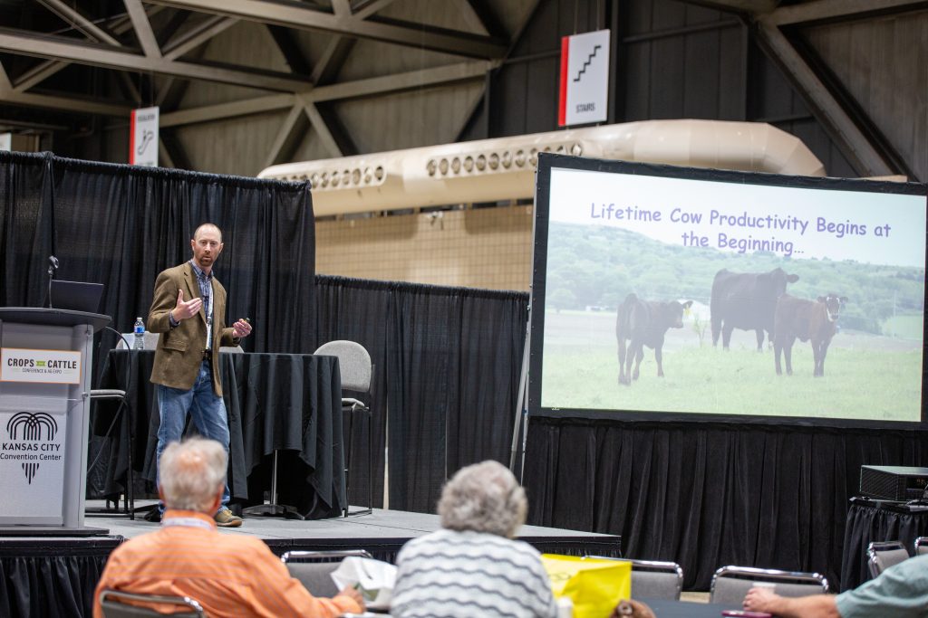 Nutrition, management important for heifer development 