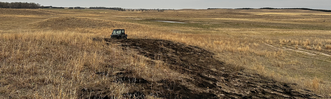Native grass roots, not new seed, are what bring Sandhills rangeland back after a wildfire like the 2026 Morrill Fire. Research shows reseeding rarely helps when a healthy perennial plant community was already in place before the burn. (Nebraska Extension)