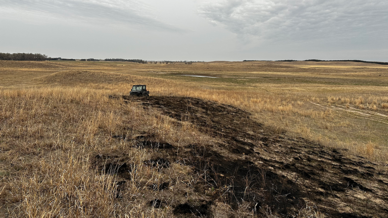 Native grass roots, not new seed, are what bring Sandhills rangeland back after a wildfire like the 2026 Morrill Fire. Research shows reseeding rarely helps when a healthy perennial plant community was already in place before the burn. (Nebraska Extension)