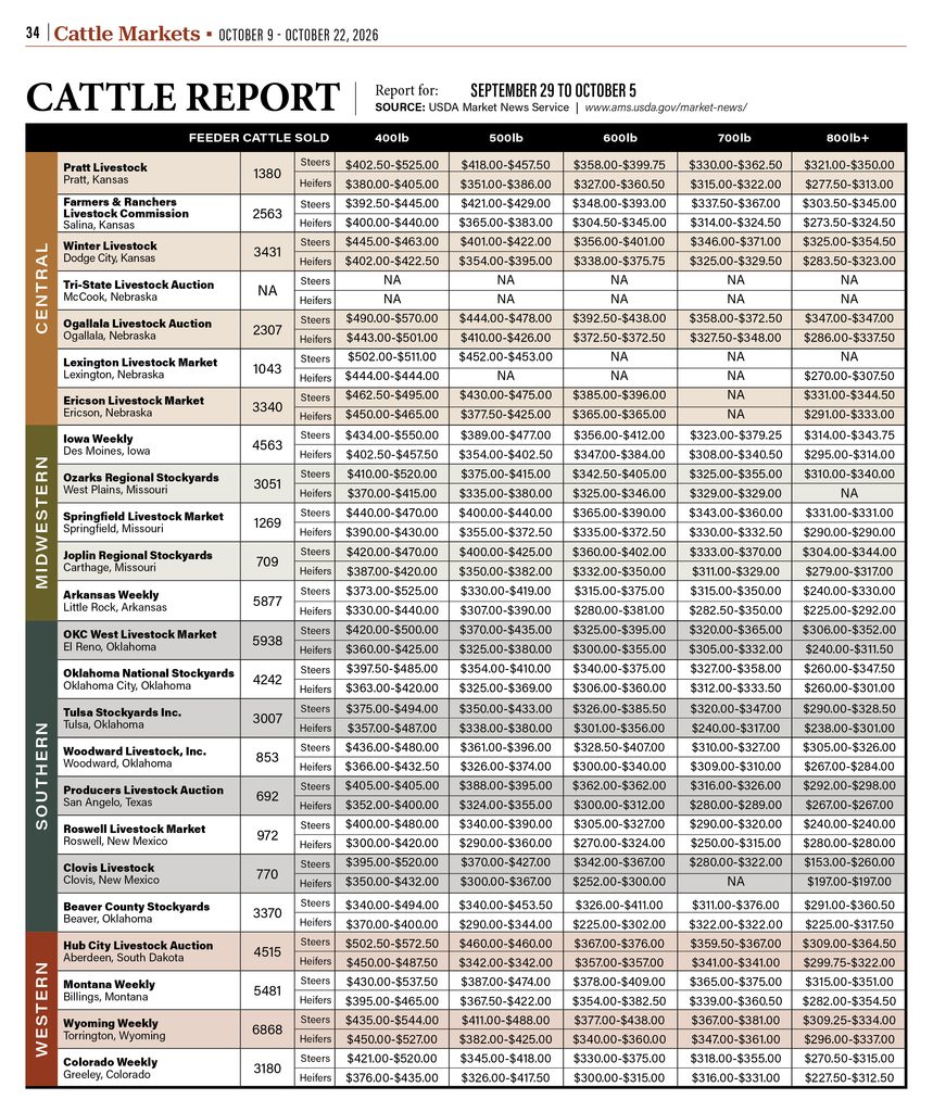 Regional cattle market prices for feeder steers and heifers by weight from livestock auctions across the High Plains.
