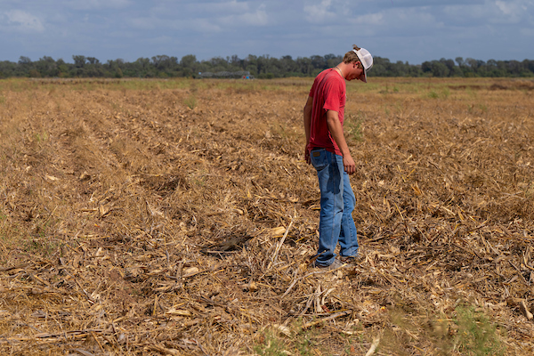 Reese Janek takes a look around on Wednesday, Oct 30, 2024, in College Station, Texas. (Michael Miller/Texas A&M AgriLife)