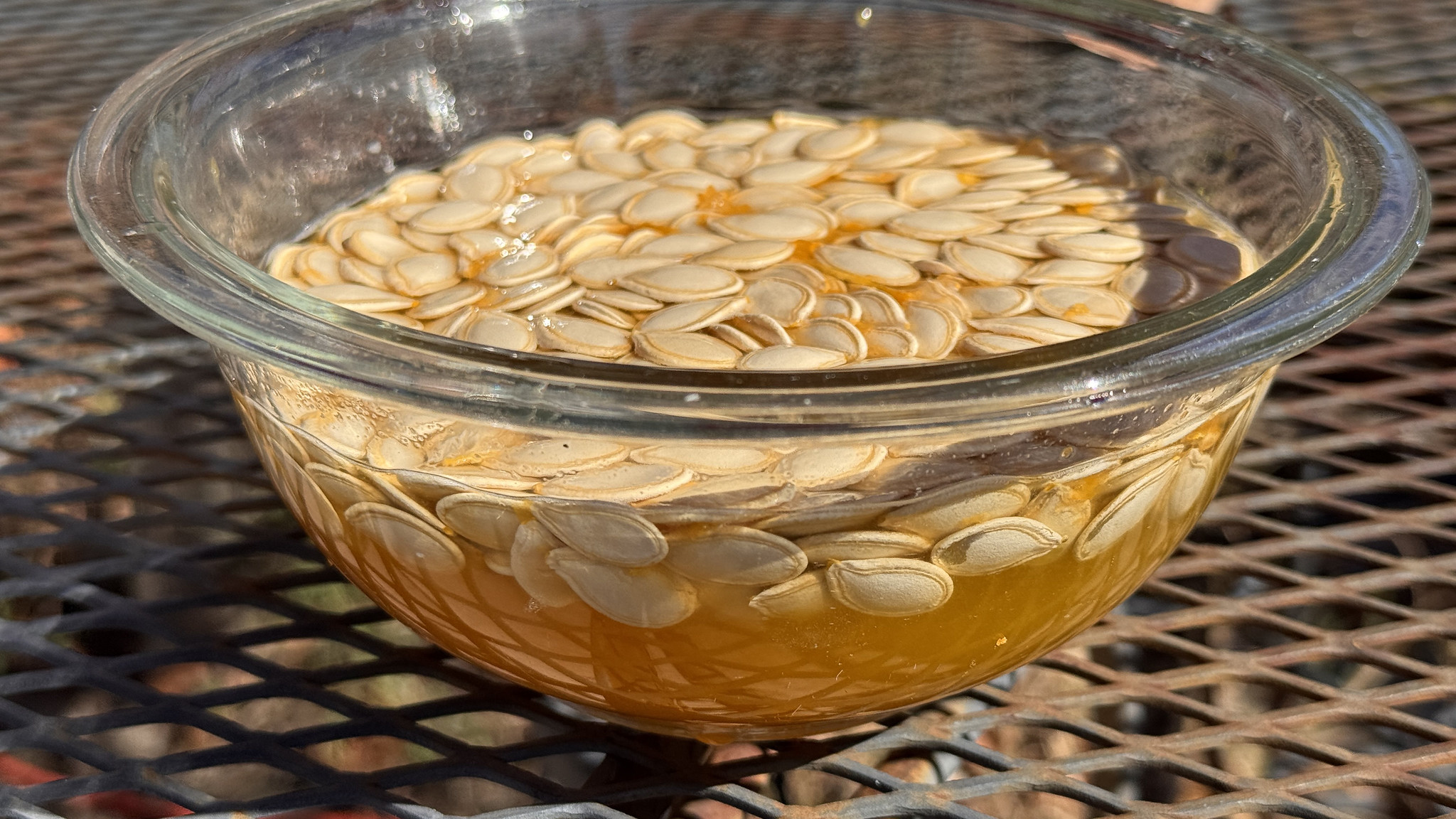 Seeds float to the top after being separated from pumpkin pulp. (UADA image)