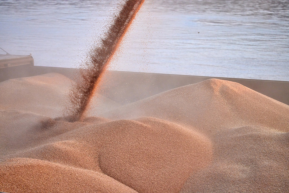 A bulk cargo loaded with grain in port. (Adobe Stock-#629708202 │ Seneca CDR)