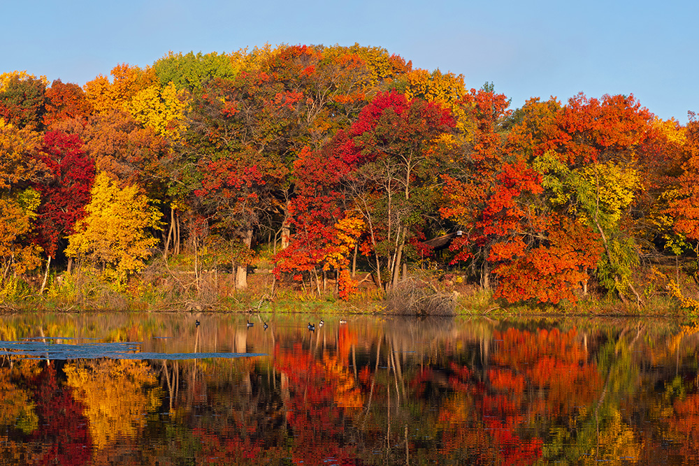 Autumn morning. (Adobe Stock-#765950126 │ Ferrer Photography)