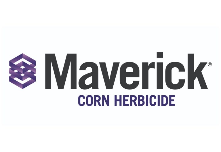 Maverick Herbicide