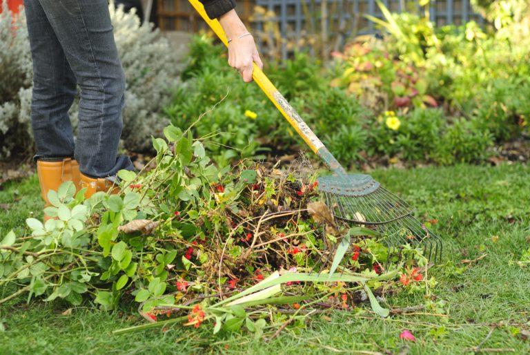 Raking up garden rubbish with a lawn rake. (iStock-#182381293 │ Petegar)